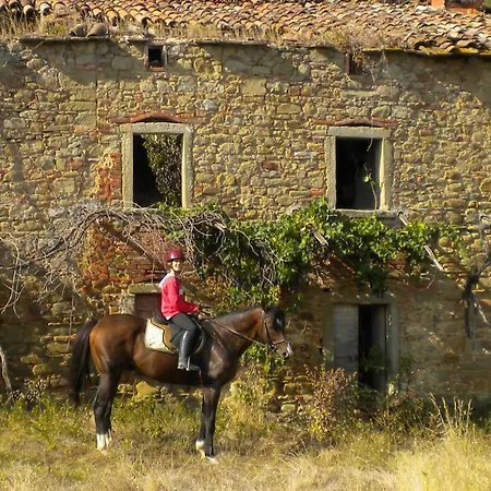 Meone Città di Castello
